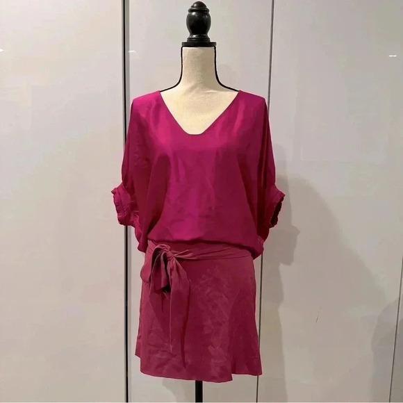 Diane von Furstenberg NWT Edna Pink Puff Sleeve Tie Waist Silk Dress Size 2 - Picture 4 of 16